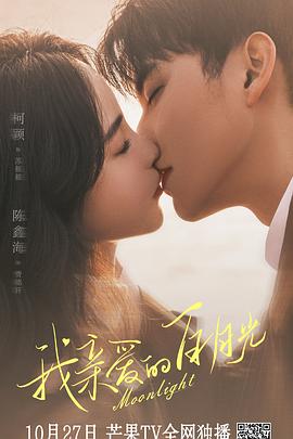 官方网站优化价格费用